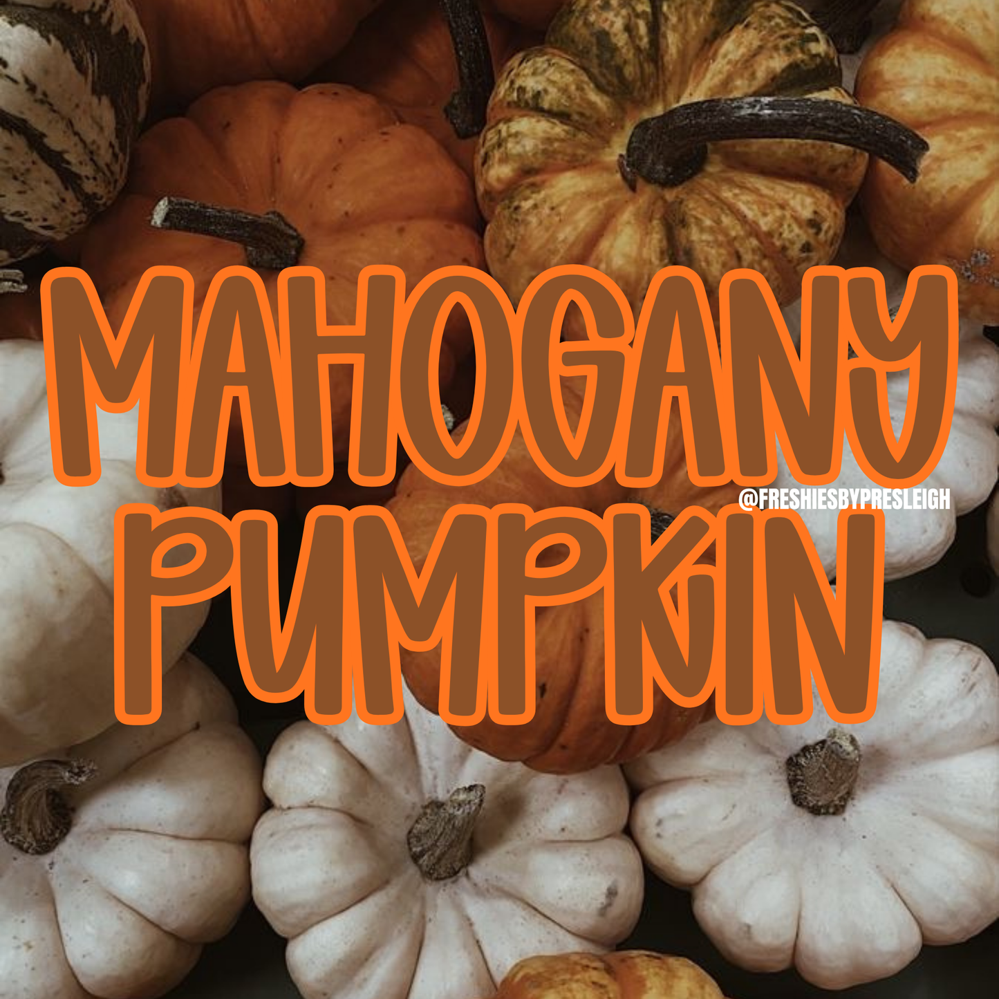 Mahogany Pumpkin Pre-Scented Freshie Beads