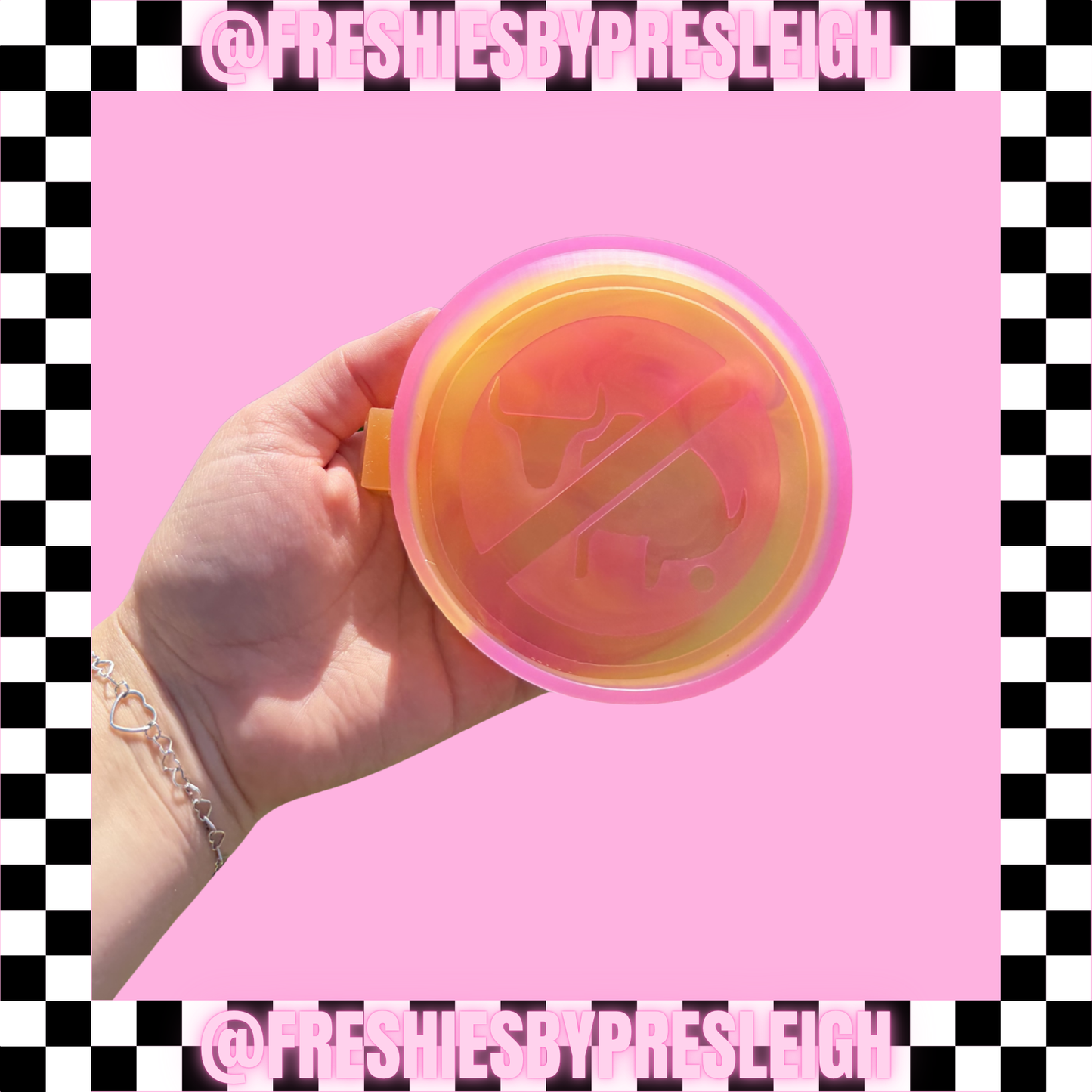 No BS Freshie Mold
