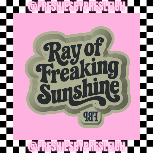 Ray Of Freaking Sunshine Freshie Mold
